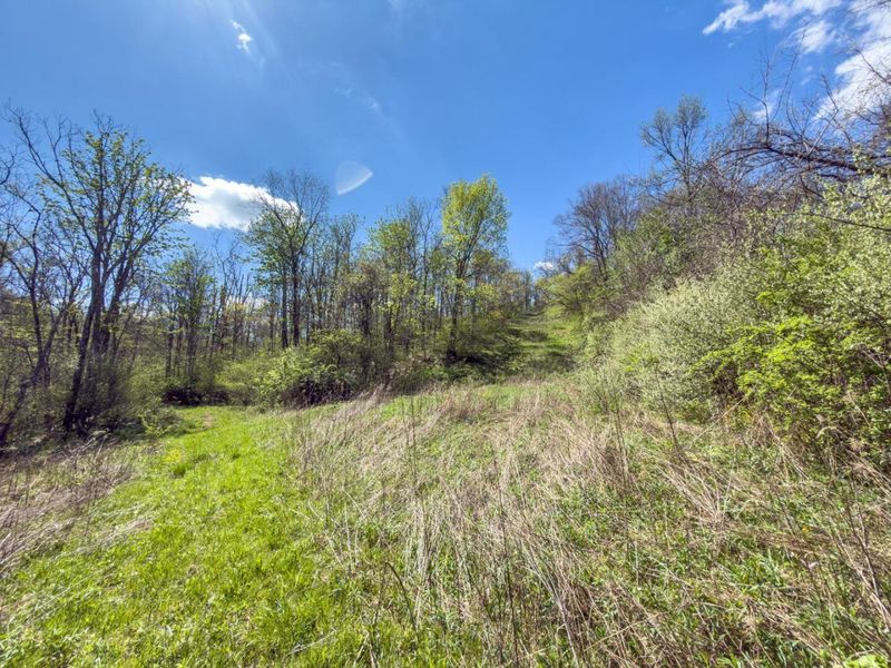 5235 Pounds Road , Chesterhill, OH 43728 Photo 15