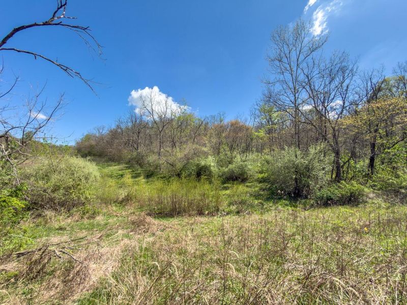 5235 Pounds Road , Chesterhill, OH 43728 Photo 16