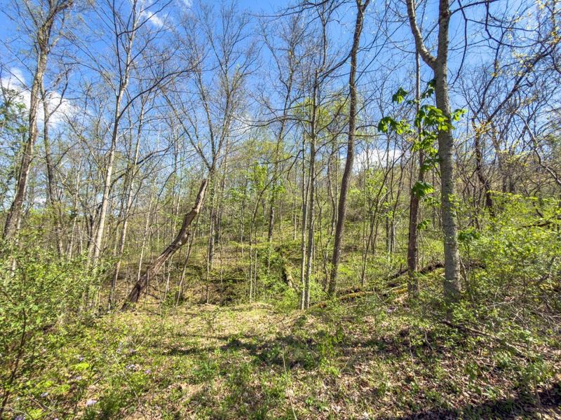 5235 Pounds Road , Chesterhill, OH 43728 Photo 19
