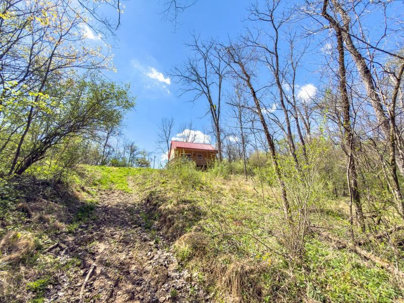 5235 Pounds Road , Chesterhill, OH 43728 Photo 21