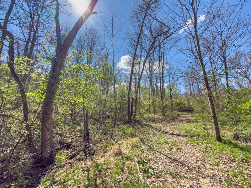 5235 Pounds Road , Chesterhill, OH 43728 Photo 4
