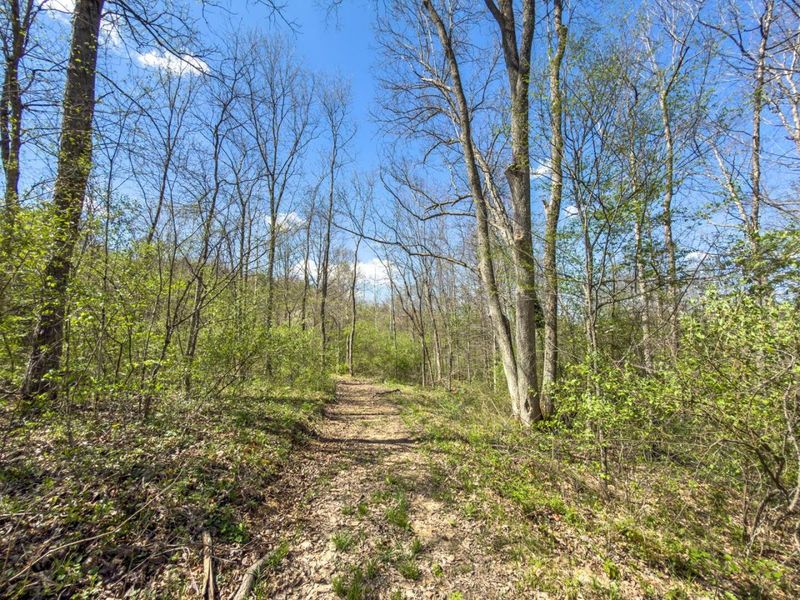 5235 Pounds Road , Chesterhill, OH 43728 Photo 6