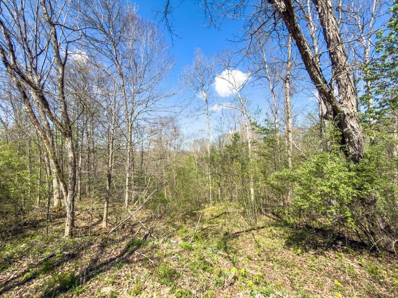 5235 Pounds Road , Chesterhill, OH 43728 Photo 7