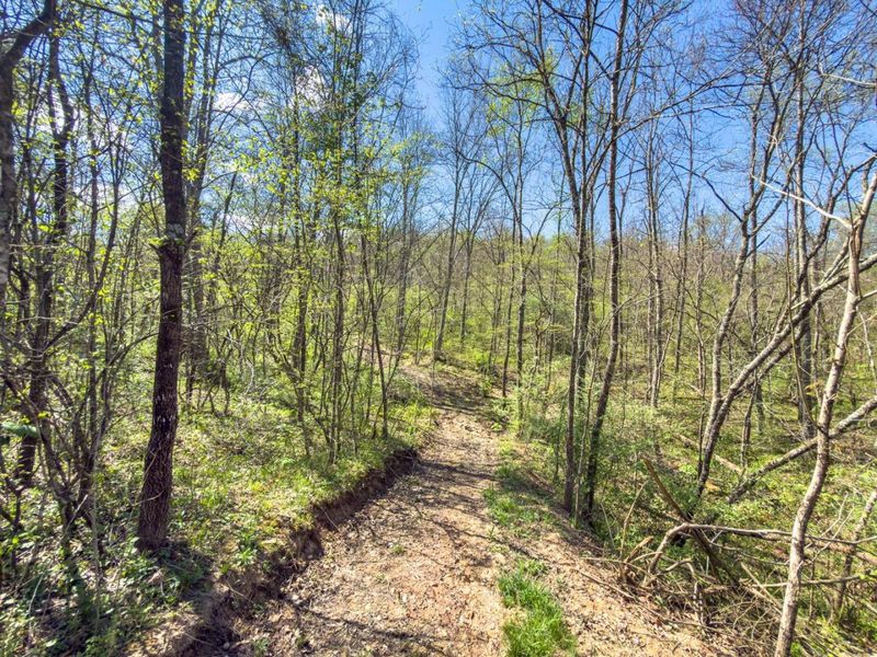 5235 Pounds Road , Chesterhill, OH 43728 Photo 9