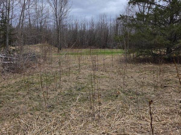 TBD Lampi Road , Cohasset, MN 55721
