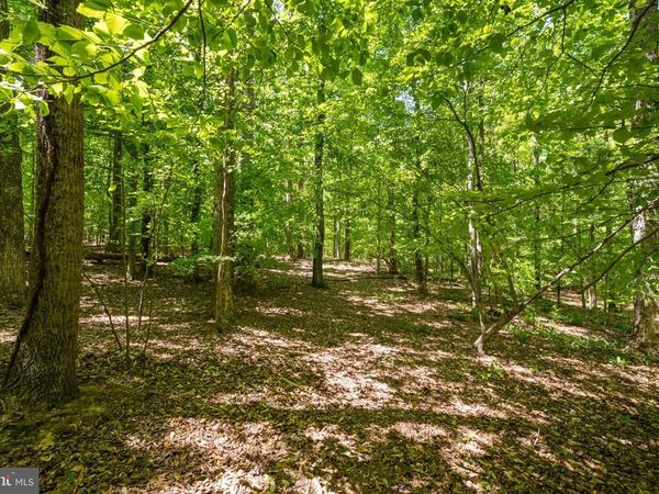 LETCHER ROAD , BRANDYWINE, MD 20613