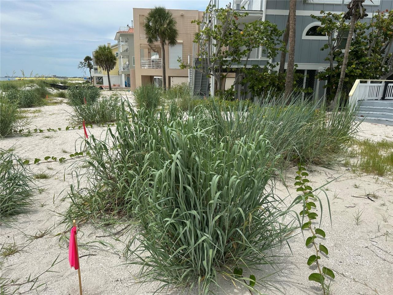 8640 W Gulf Boulevard, Treasure Island, FL 33706 Photo