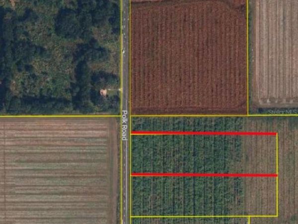 2524 POLK ROAD , BOWLING GREEN, FL 33834