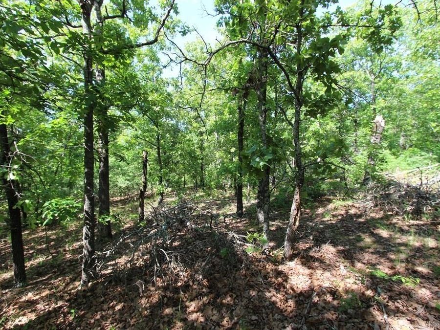 Property Image 11