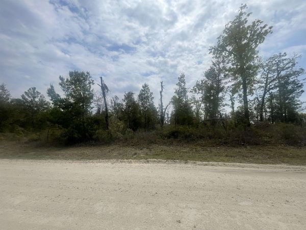0 E Royal Oak Drive, Keaton Beach, FL 32348