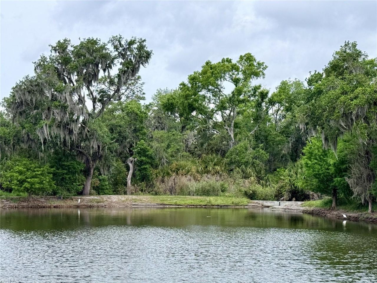14415 20th Street E, Parrish, FL 34219 Photo