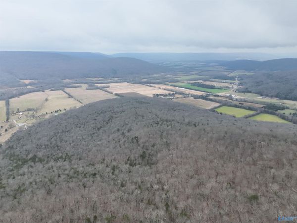 264 AC County Road 65, Paint Rock, AL 35764