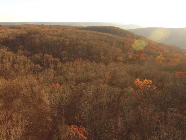 245 AC County Road 106, Trenton, AL 35774