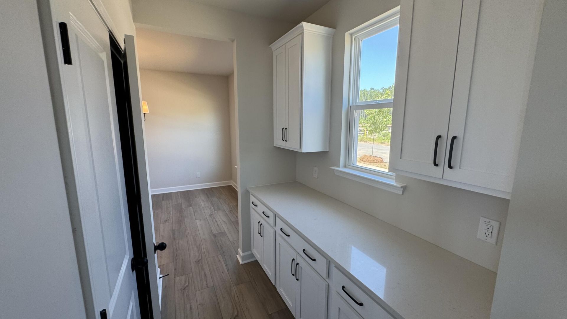 5361 Crinum Lilly Photo 20