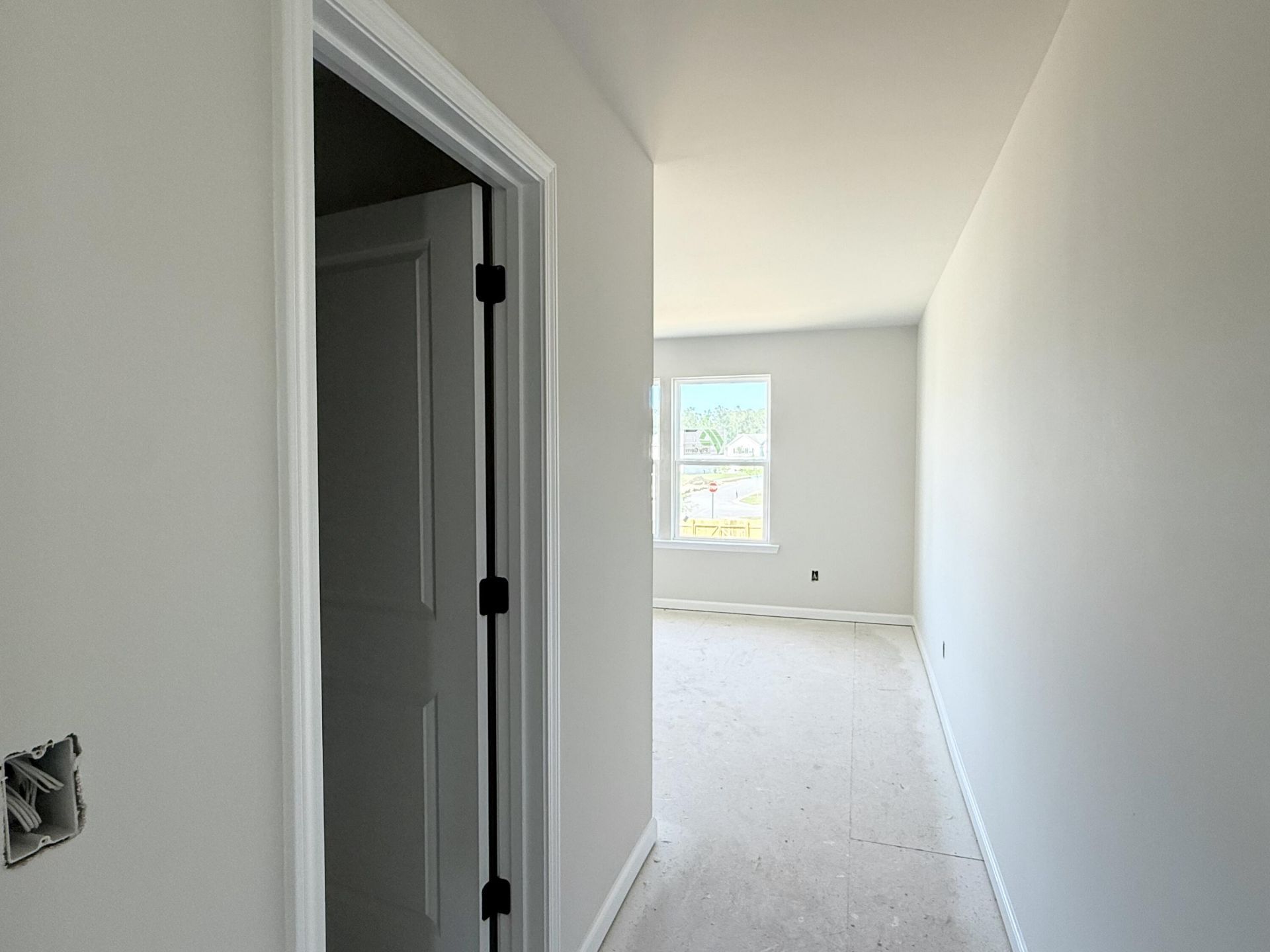 5361 Crinum Lilly Photo 25