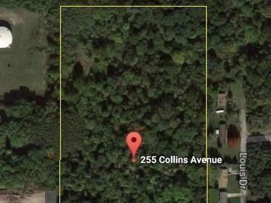 Property Image 5