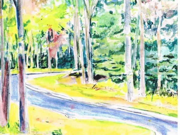Lot 6 Devon Road, Shavertown, PA 18708