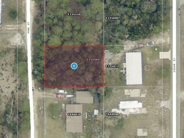 14-17-28-0200-009-01400 PINE STREET , PAISLEY, FL 32767