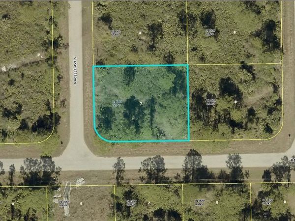 137 NACELLE AVENUE S, LEHIGH ACRES, FL 33974