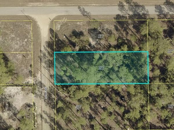 1124 JOHNS AVENUE , LEHIGH ACRES, FL 33972