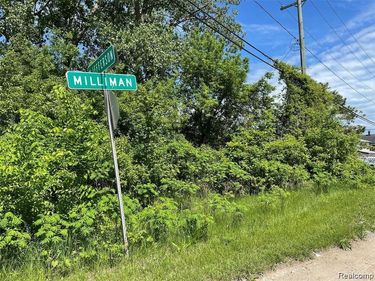 00000 Milliman Road, Brownstown Twp, MI 48173