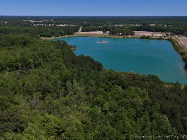 Lee Johnson Road, Dunn, NC 28334