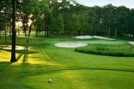 108 Back Tee Circle Photo 48