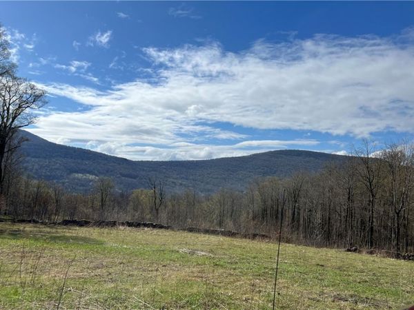 Vega Mountain Rd , Roxbury, NY 12474