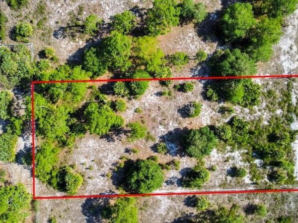 855 S CABBAGE PALM STREET , CLEWISTON, FL 33440