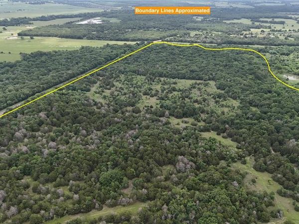 TBD 125 Acres FM 642 , Purdon, TX 76679