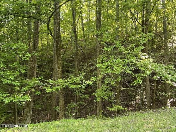 336-342 Omega Drive Drive, Spring City, TN 37381