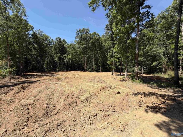 lot 18 Meadowwood Circle, Arab, AL 35016