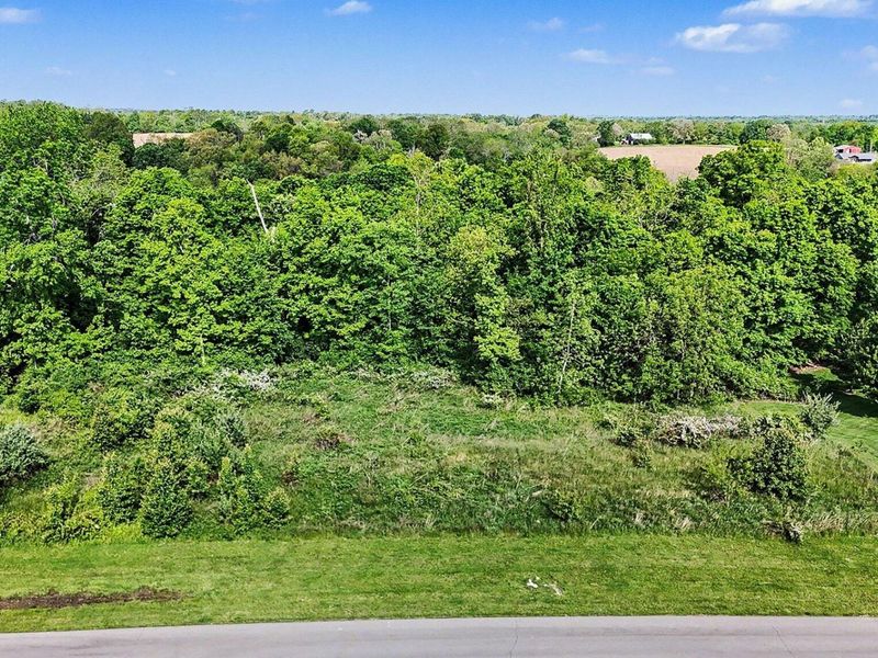 1016 Nantucket Way, Crittenden, KY 41030 Photo 13