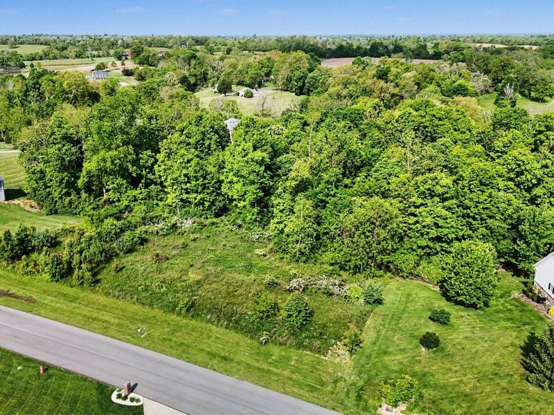 1016 Nantucket Way, Crittenden, KY 41030 Photo 15