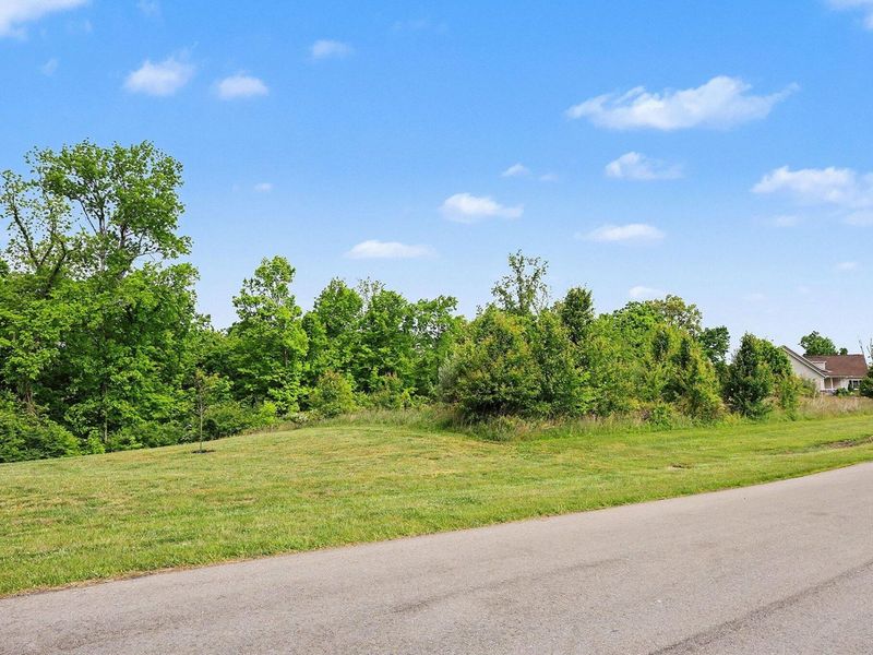 1016 Nantucket Way, Crittenden, KY 41030 Photo 3