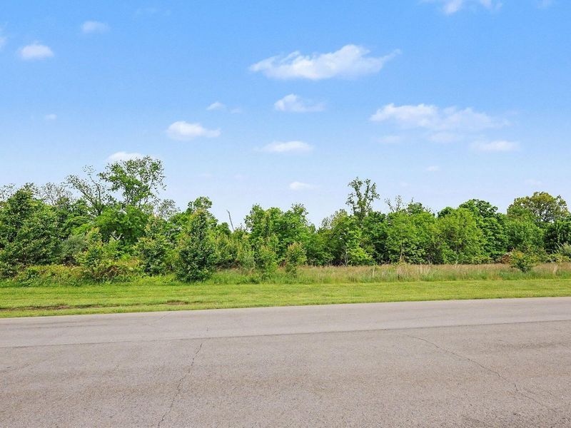 1016 Nantucket Way, Crittenden, KY 41030 Photo 4