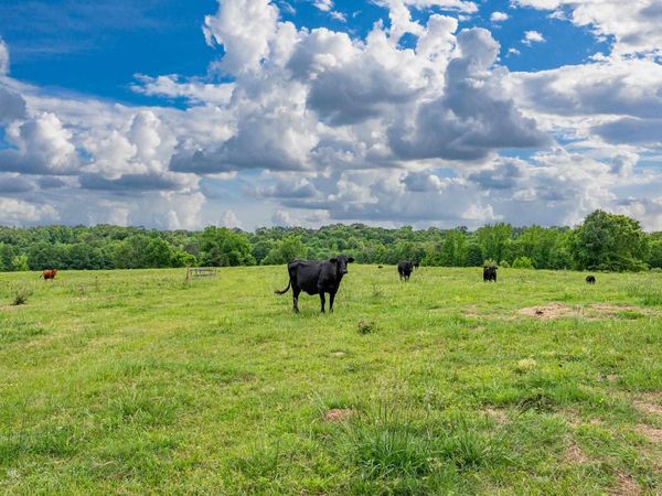 371 Highway 128, Bismarck, AR 71929