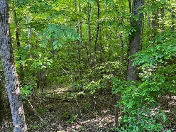 373-375 Beta Drive Drive, Spring City, TN 37381