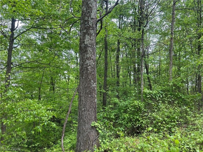38975 Ogles Ridge Road, Dexter City, OH 45727 Photo 21