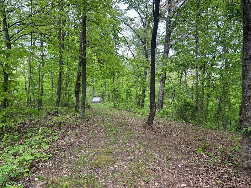 38975 Ogles Ridge Road, Dexter City, OH 45727 Photo 26