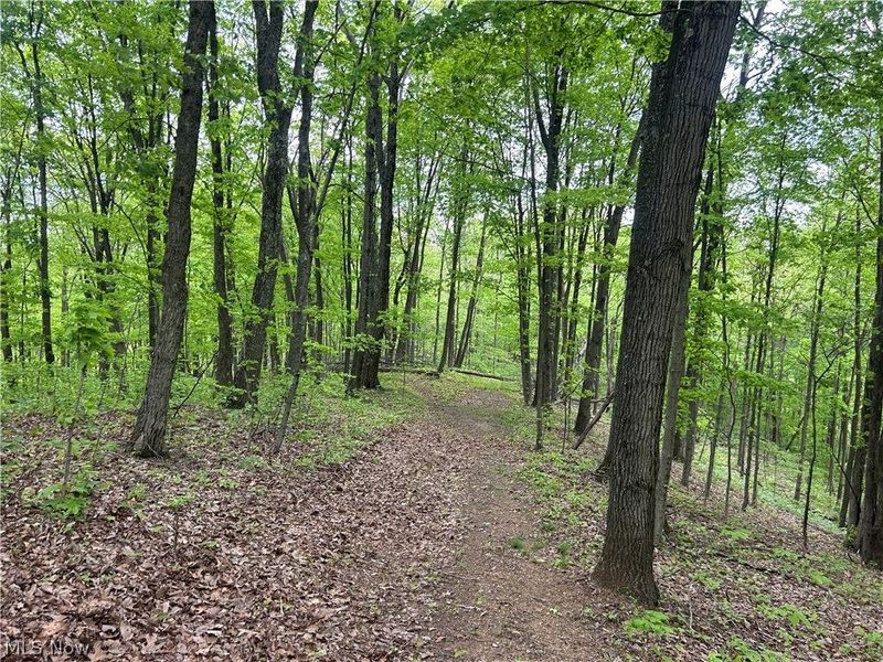 38975 Ogles Ridge Road, Dexter City, OH 45727 Photo 27