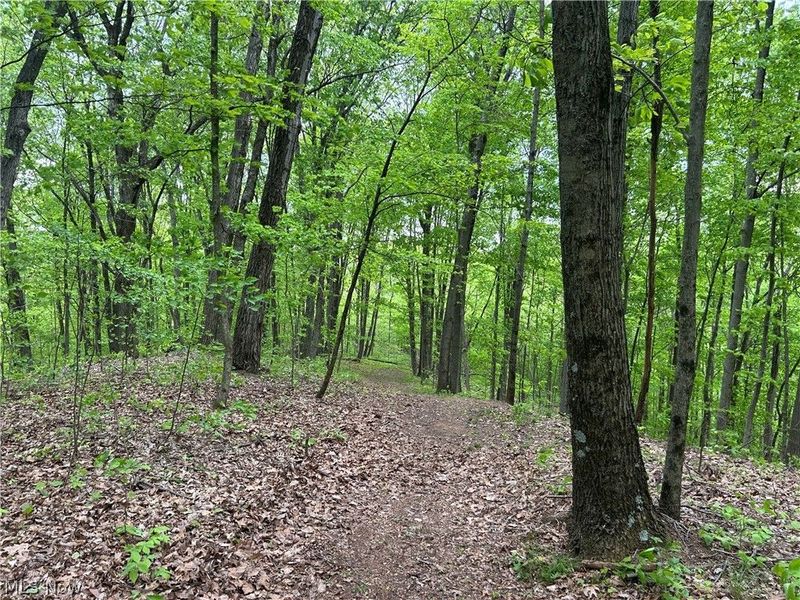 38975 Ogles Ridge Road, Dexter City, OH 45727 Photo 29