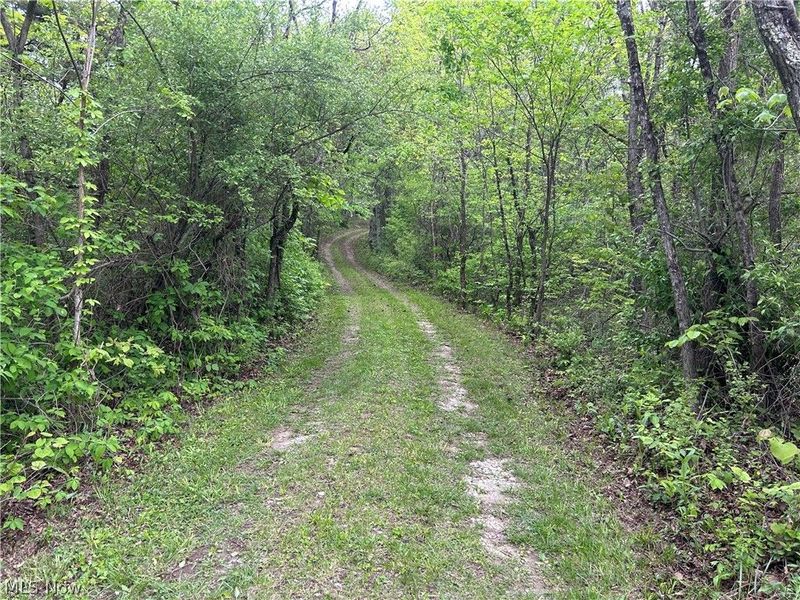 38975 Ogles Ridge Road, Dexter City, OH 45727 Photo 37