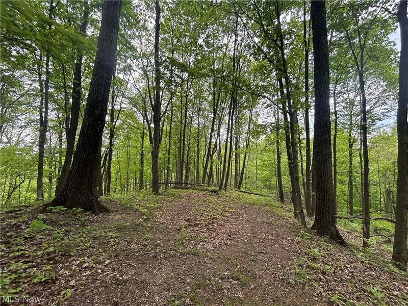 38975 Ogles Ridge Road, Dexter City, OH 45727 Photo 39