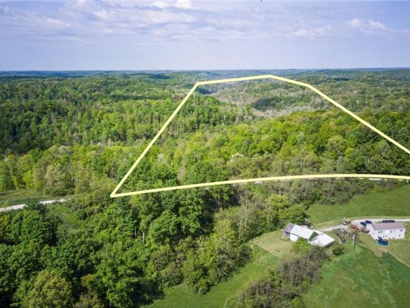 38975 Ogles Ridge Road, Dexter City, OH 45727 Photo 40