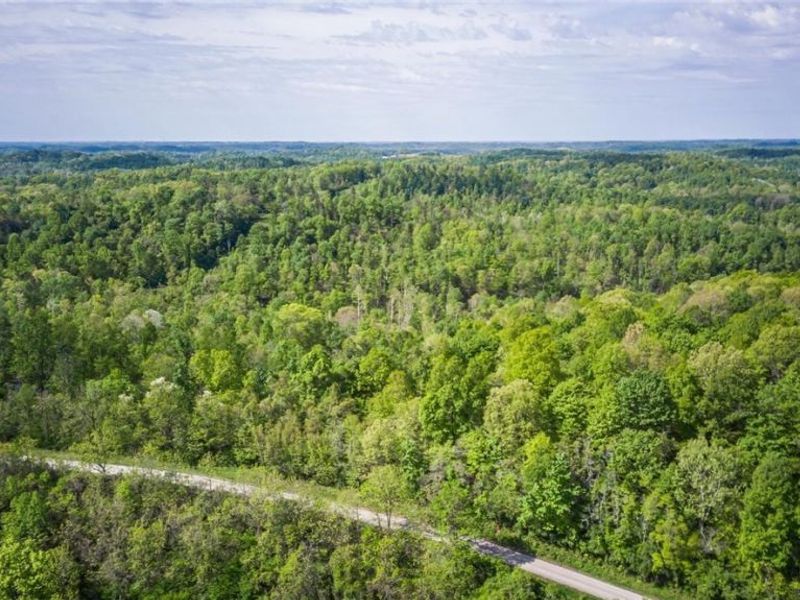 38975 Ogles Ridge Road, Dexter City, OH 45727 Photo 41