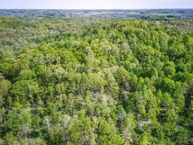 38975 Ogles Ridge Road, Dexter City, OH 45727 Photo 42