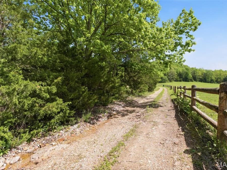 Property Image 60