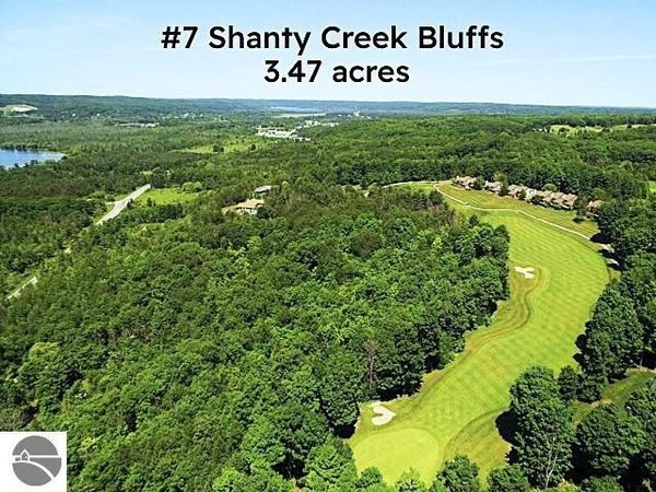 7 Creek Hill Drive, Bellaire, MI 49615