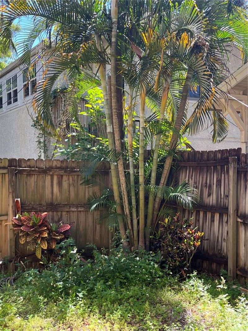 520 E Amelia Street, Orlando, FL 32803 Photo